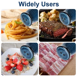 Hasense Ceramic Salt and Pepper Shakers,Navy Farmhouse Salt Shaker set of 2, Vintage Spice Shaker for Compact Cooking,Travel,BBQ, Kitchen and Resturant Decor