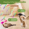 PANRIO Interactive Cat Toys for Indoor Cats,Electric Flying Bird &