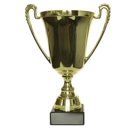 Trophy with Desired Text Extra Large Trophy on Marble Base 270 mm 590 g With text, luxury trophy, 1,2,3 place incl. engraving