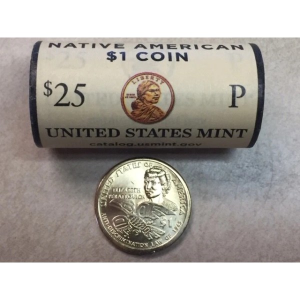 H/T~ 2020 P BU SACAGAWEA NATIVE AMERICAN Anti-Discrimin
