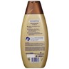 Schwarzkopf Schauma Repair and Care Shampoo, Pack of 2 (2