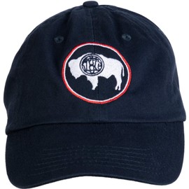 Vintage Wyoming Flag | Crest and Buffalo WY State Pride Men Women Baseball Hat Cap Navy