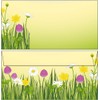 25 Envelopes Spring Meadow DIN Long without Window 61345