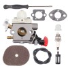 Panari FS56RC Carburetor Kit for Stihl FS 56 RC FS70R