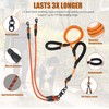 Dual Leash - Exceptional 360 Anti-Tangle & No Pull Leash