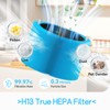 Togameoy Blue Pure 211i Max AllergenBlock Filter Replacement Compatible with