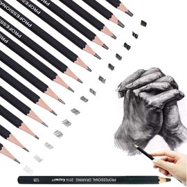 Calmind Juego de Lápices de Dibujo Profesionales 14 Pack; Kit para Dibujar Arte Profesional de Artistas, Arquitectos; Lápiz de Bosquejo y Carbón para Proyectos, Escritura de Calidad (Negro, 14)