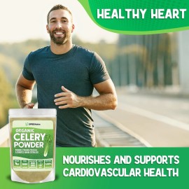 Organic Celery Powder - Celery Organic Fresh Powder Antioxidant - Premium Celery