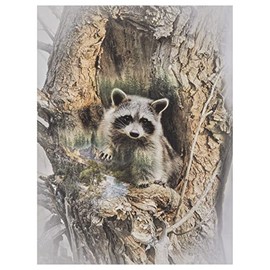 Hoffman Fabrics Hoffman Digital Call of The Wild Racoon 31.75'' Panel Fabric, Forest