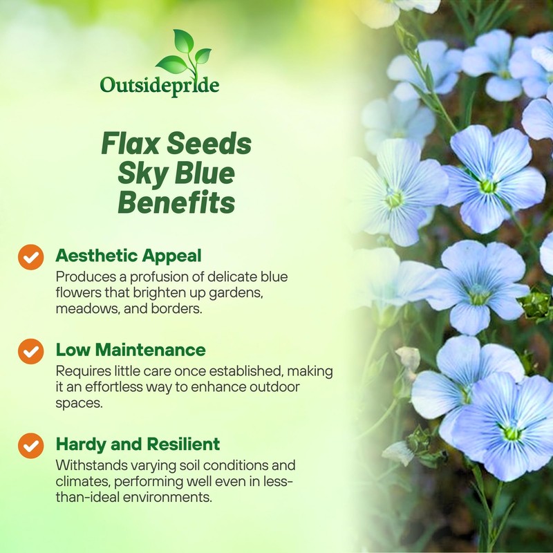 Outsidepride Sky Blue Flax Seeds - 2000 Pcs Annual Flower