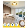 Kudos Gold Flush Mount Ceiling Light 2-Pack, 16 Inch LED