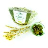 Organic Sideritis, Mountain Tea BIO, Ironwort Cut Flowers, Sideritis scardica