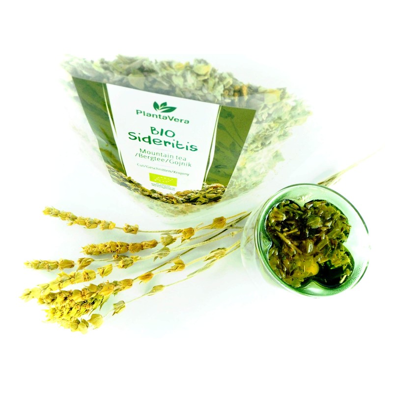 Organic Sideritis, Mountain Tea BIO, Ironwort Cut Flowers, Sideritis scardica