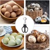 Black Egg Shell Scissors - Portable Quail Egg Cracker, Cracker