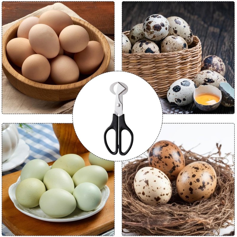 Black Egg Shell Scissors - Portable Quail Egg Cracker, Cracker