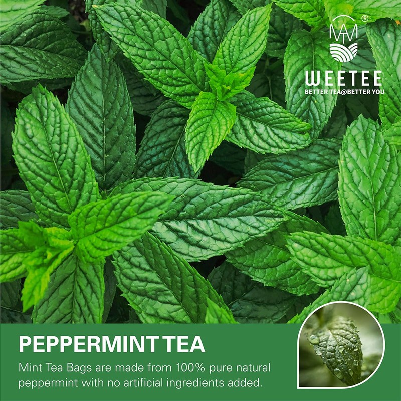 WT WEETEE Peppermint Tea Bags, Made with 100% Pure Peppermint,