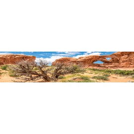 Carolina Custom Cages Reptile Habitat Background; Double Arch with Tree, for 48Lx24Wx24H Terrarium, 3-Sided Wraparound