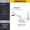 Wasserman 2 Handle Utility/Laundry/Shop Sink Faucet with Pull Out Sprayer