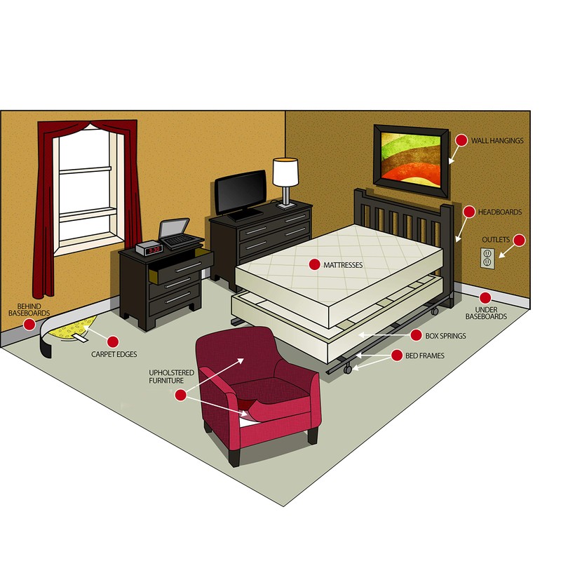 Harris All Natural Bed Bug Traps, 2 Pack, 4 traps