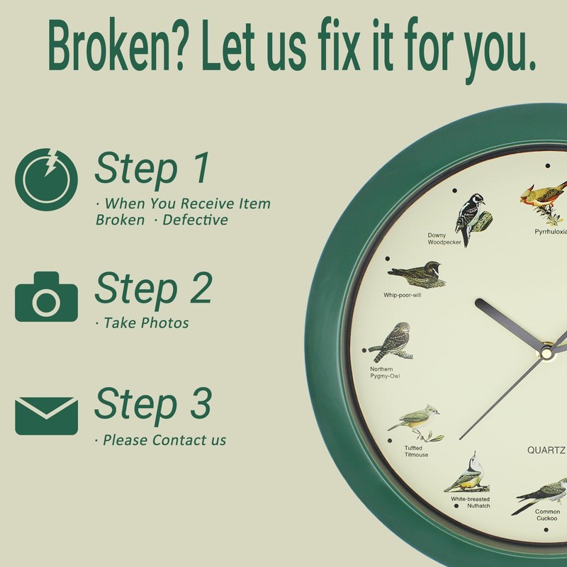 Belinlen Singing Bird Wall Clock 12 Inch Bird Singing Clock