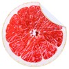 Excervent Realistic Grapefruit Blanket for Adults and Kids, 290 GSM