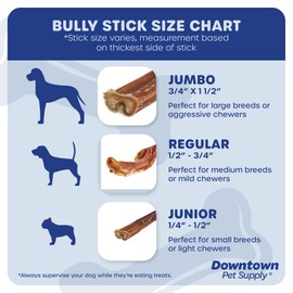 Downtown Pet Supply Bully Sticks - 12" REGULAR -1 LB -SOUTH AMERICA & TURKEY