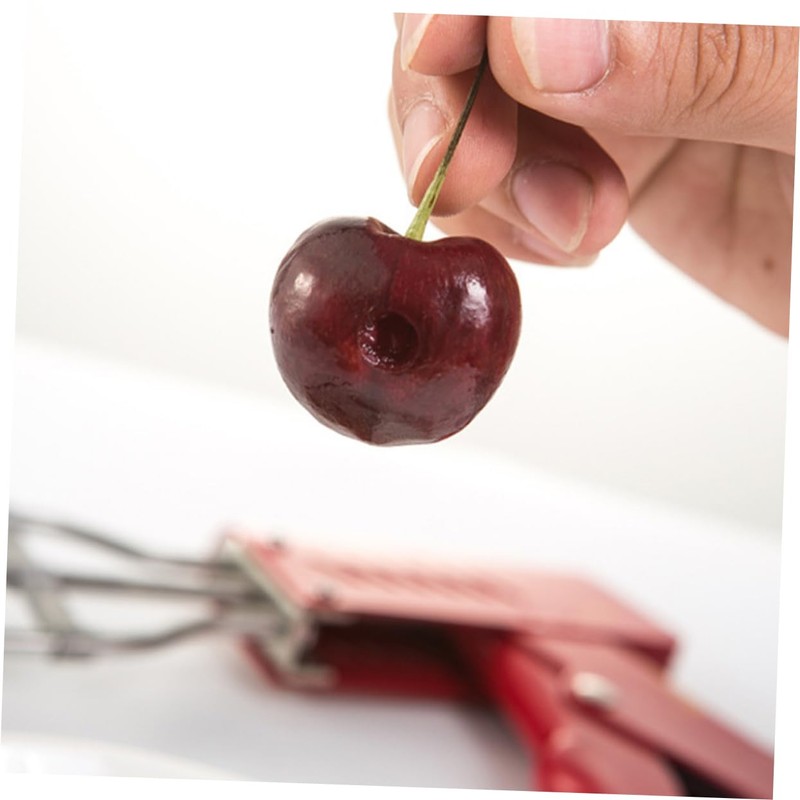LABRIMP Stainless Steel Fruit Corer Tool Portable Core Remover for