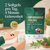 MISSECO 21 Pflanzen Komplex Löwenzahn Echinacea Klette 240 Softgel Kapseln