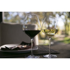 The One Wine Glass - Perfectly Designed Shaped Wine Glasses For all Types of Wine By Master Sommelier Andrea Robinson, Premium Mixed Set of 1 Red Wine Glass and 1 White Wine Glass,