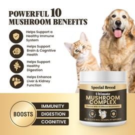 Mushroom Powder for Dogs & Cats - Organic Mushroom Complex for Immune Support, Cognition, Vitality - Ten Mushroom Supplement with Turkey Tail, Lion's Mane, Reishi - 180 Scoops