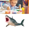 Shark Ornaments Vivid Plastic Engraving Painting Process Decorative Educational Interesting