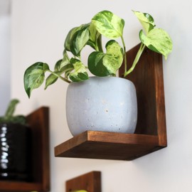 Daniel's Plants 3 Pack Midcentury Modern L Shaped Floating Shelves | Wall Mounted Plant Shelf Kit | Solid Wooden Shelf | 3 Shelves (Woodland Brown)