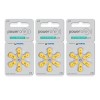 PowerOne Power One MERCURY FREE Hearing Aid Batteries Size 10