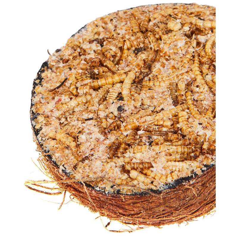 Garden Ting Mealworm Suet Coco Halves Wild Bird Treat, 400