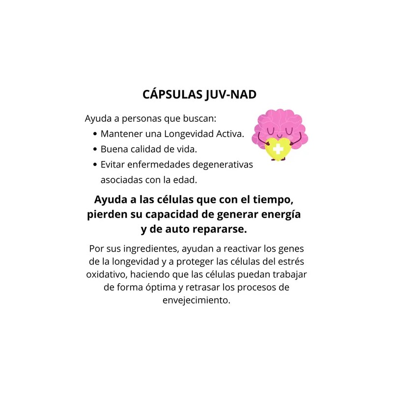 Cápsulas Nutricionales Blen Etherna Juv Nad Vitamina B12 Resveratrol 60