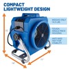 BlueDri Portable 1/5 HP, 870 CFM Mini Axial Air Mover