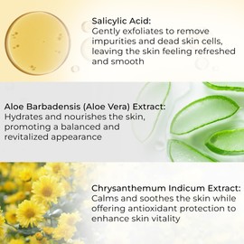 JA'ORA Pore Refining Face Cleanser – 2% Salicylic Acid, Aloe Vera & Fruit Acids – Deep Clean Formula with Gentle Exfoliation & Hydration – Oil Control Face Wash for Clear, Balanced Skin (200ml)