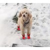 YAODHAOD Dog Shoes for Small Dogs, Anti-Slip Dogs Boots &