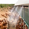 Chicken Coop Misting Cooling System,Misting Hose for Patio with 26FT
