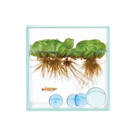 Gex 100CUBE Glassterior Fit Aquarium, Glass Aquarium with Lid and Back Screen, Fit Glass Method, for Mist Type