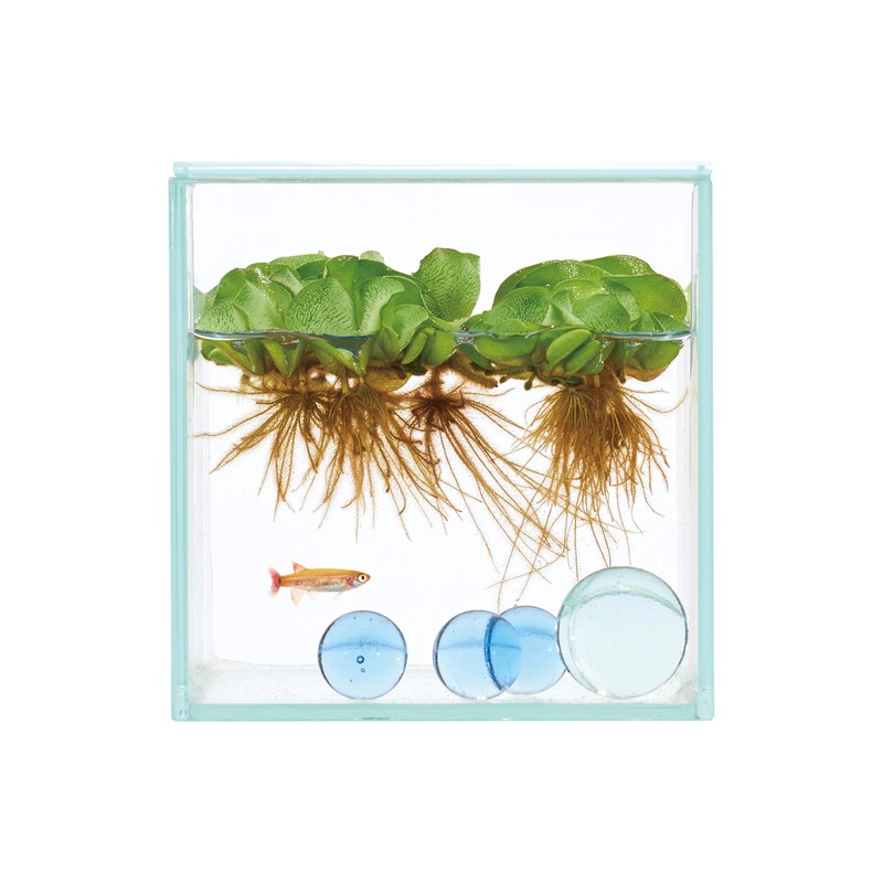 Gex 100CUBE Glassterior Fit Aquarium, Glass Aquarium with Lid and