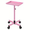 [Salon Tray On Wheels] Premium Aluminum Salon Tray On Wheels