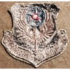 USAF AIR FORCE AF SPECIAL OPERATIONS COMMAND MILITARY PATCH SUBDUED