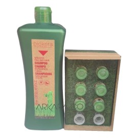 Salerm Biokera Kit Anticaída Ampolletas + Shampoo 3 Meses
