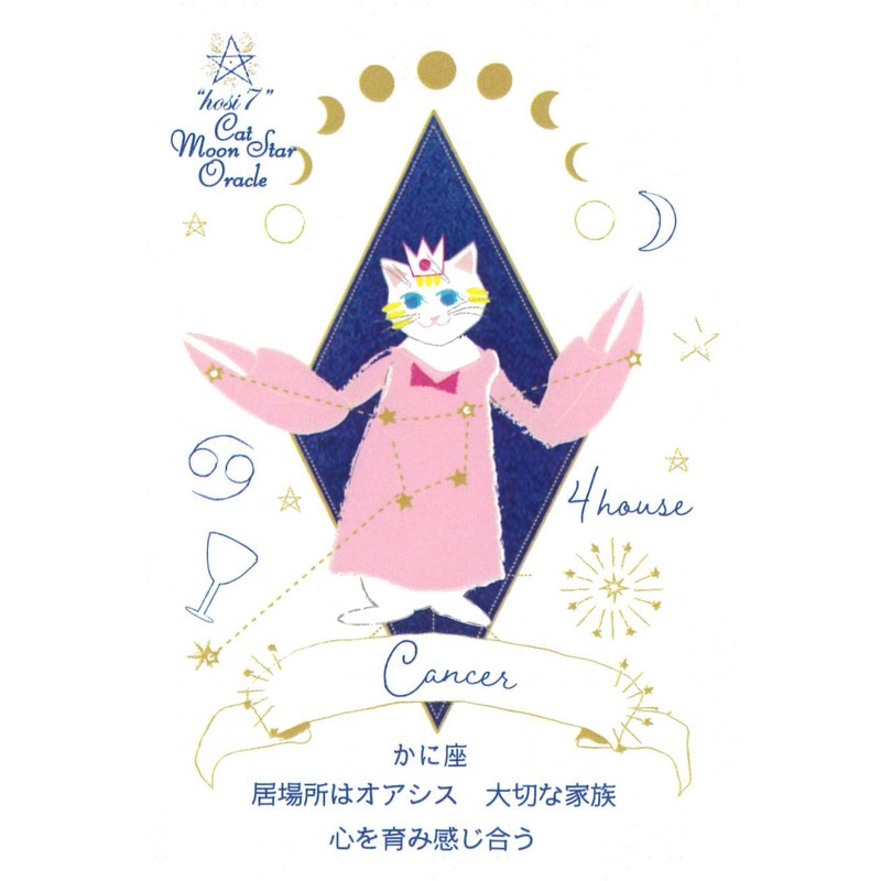 hosi7 cat moon star oracle