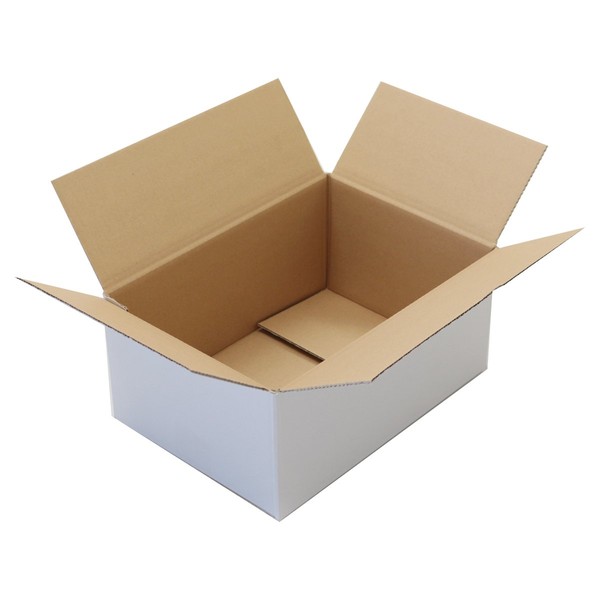 Earth Cardboard ID0242 Cardboard, 80 Size, Set of 80, A4, Depth 5.7 inches (144 cm), White, Cardboard, 31.5 inches (80 cm), Size 70