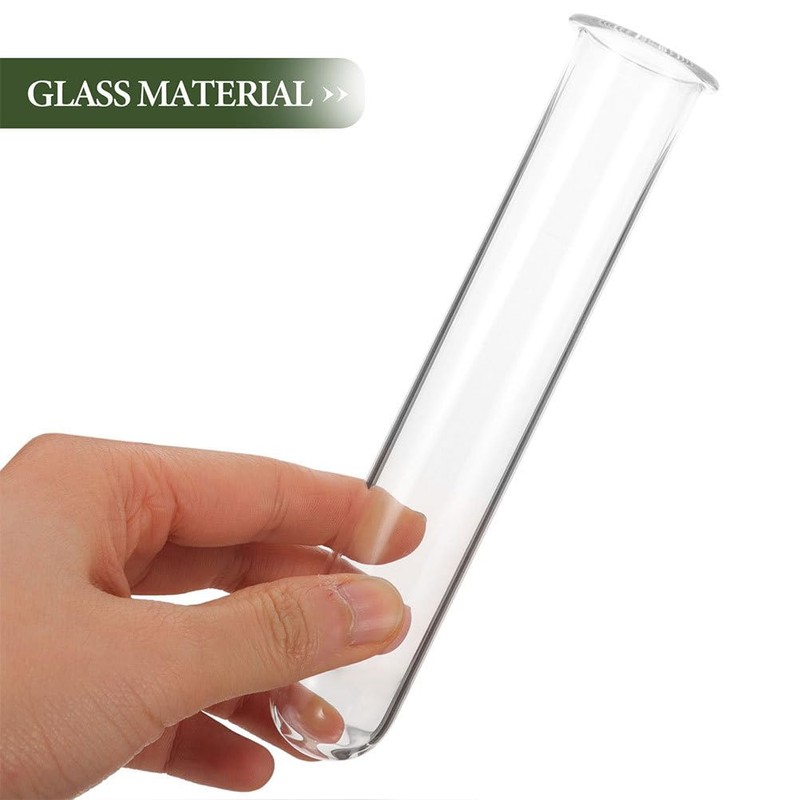 DECHOUS 6Pcs Clear Test Tubes for Plant 6 Inch Propagation