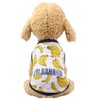 RIOSTUDIO Dog Clothes, For Spring/Summer, Mesh, Fruit Pattern Sleeveless, Banana