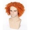 LeMarnia Mad Hatter Wig Orange Short Curly Wig for Halloween
