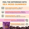 Sea Moss & Elderberry Gummies – 60 Berry-Flavored Multivitamin Gummies